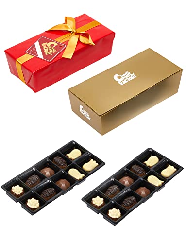 Premium Gourmet Assorted, Ballotin Red Box Chocolate Pralines, Made with Belgian Chocolate - 7 Oz