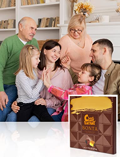Bonta Series Premium Gourmet Assorted Milk Filled Milk Chocolate, 9.52 Oz