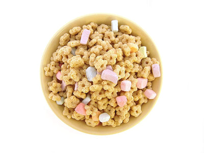 Vanilla Mini Dehydrated Marshmallow Bits (1lb) - Sarah's Candy Factory